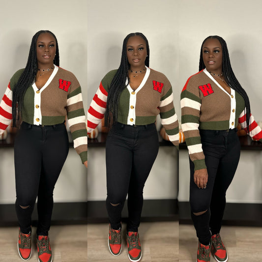 The Colorway Sweater (OLIVE)